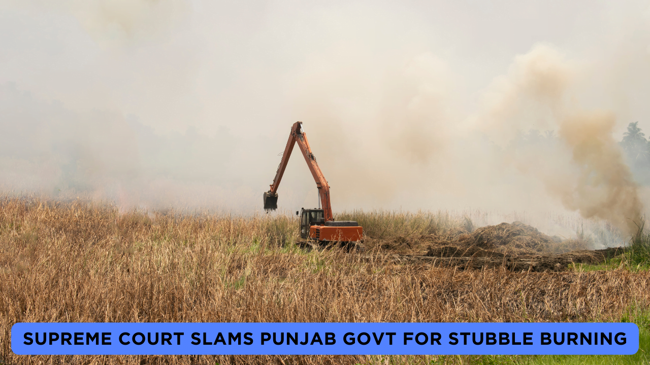 Supreme Court Slams Punjab Govt For Stubble Burning